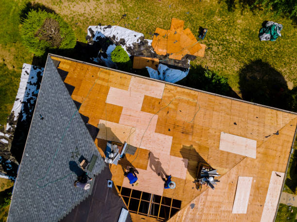Best Roof Leak Repair  in Braddock, VA