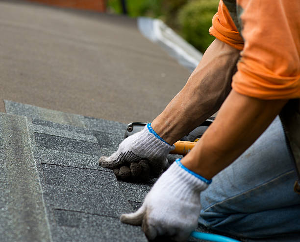 Best Roof Gutter Cleaning  in Braddock, VA