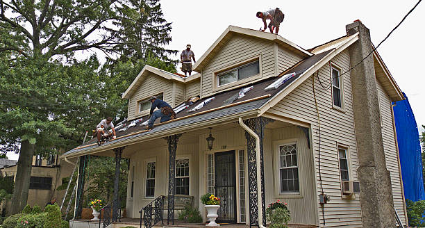 Best Roof Inspection Near Me  in Braddock, VA